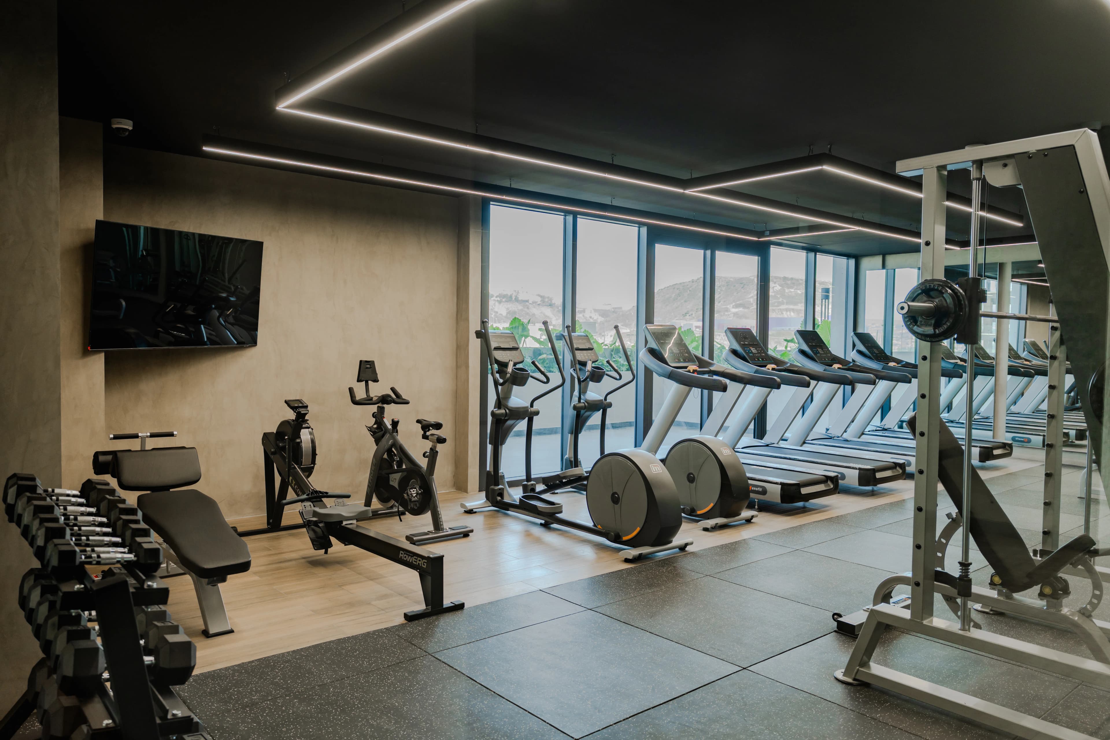 Gimnasio